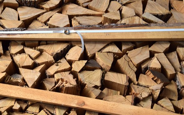 Holz