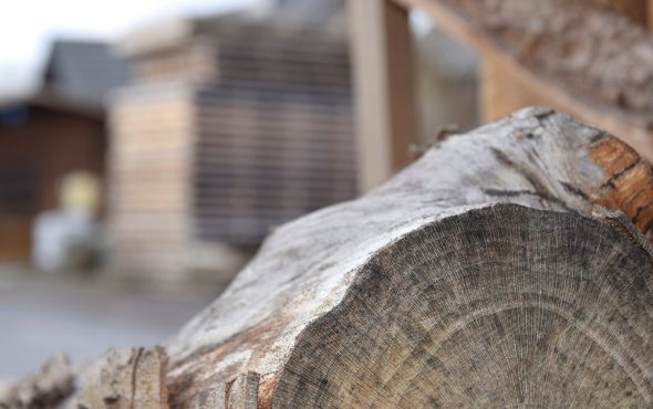 Holz